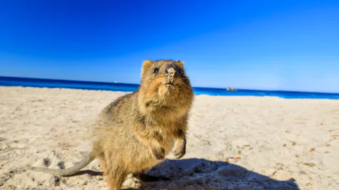 Perth, Australia