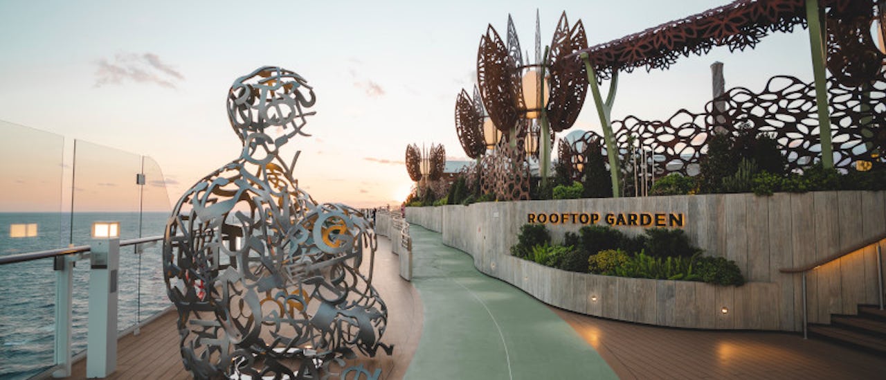 The Rooftop Garden