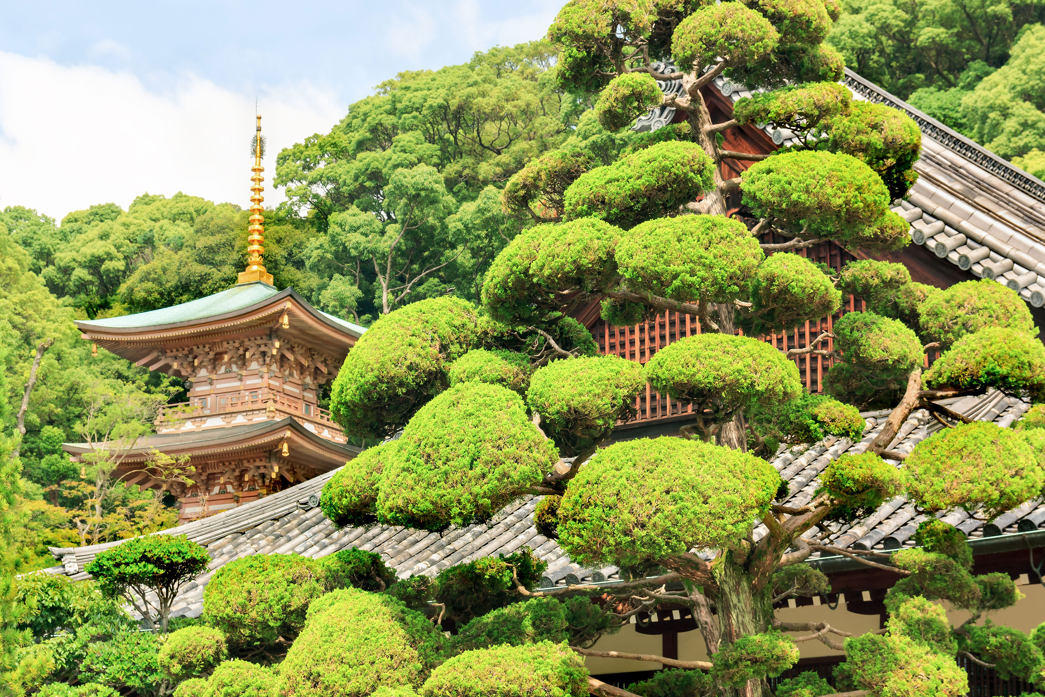 Kyoto, Japan