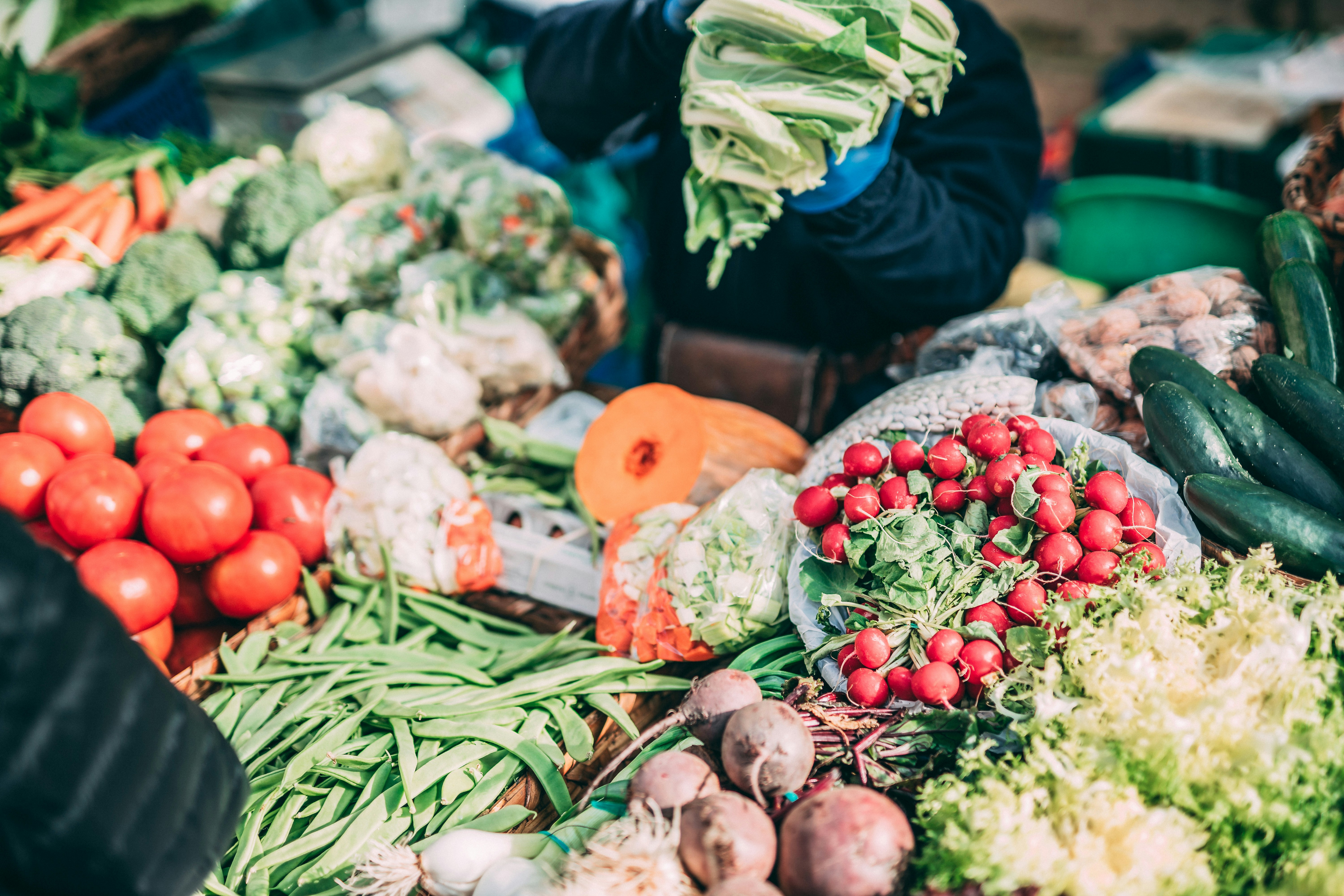 Browse the Central Market of Tarragona