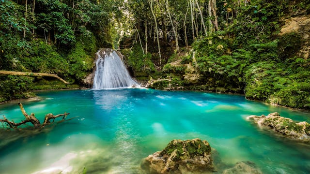 Waterfall and lagoon in Jamaica