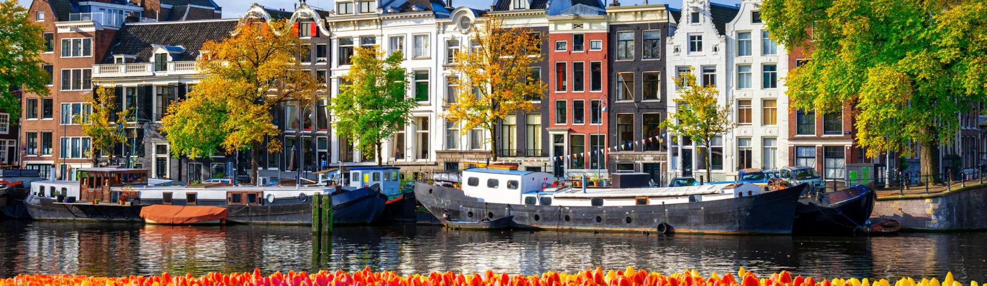 Amsterdam houses at canal waterfront with spring tulips