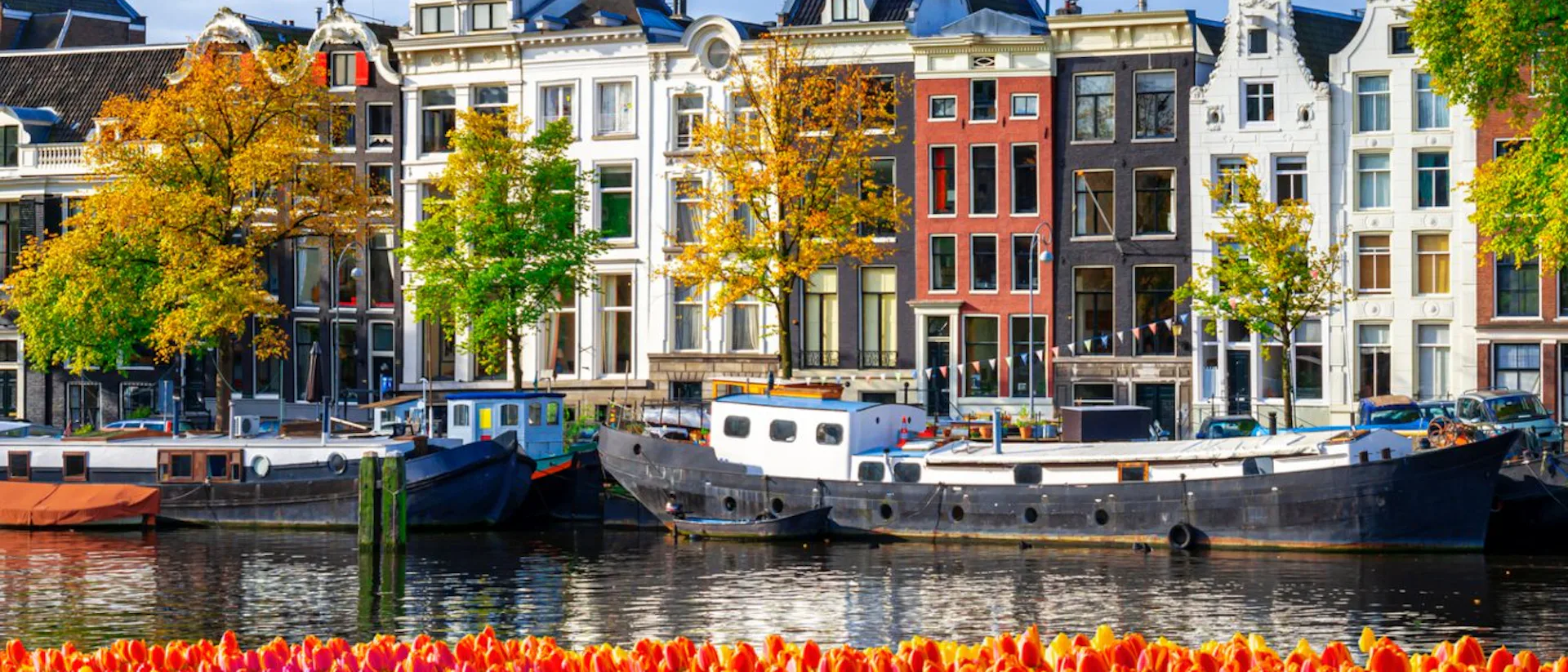 Amsterdam houses at canal waterfront with spring tulips