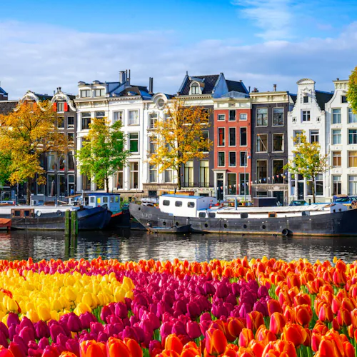 Amsterdam houses at canal waterfront with spring tulips