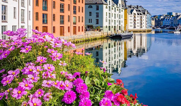 Beautiful summer flowers frame the colorful buildings of Alesund