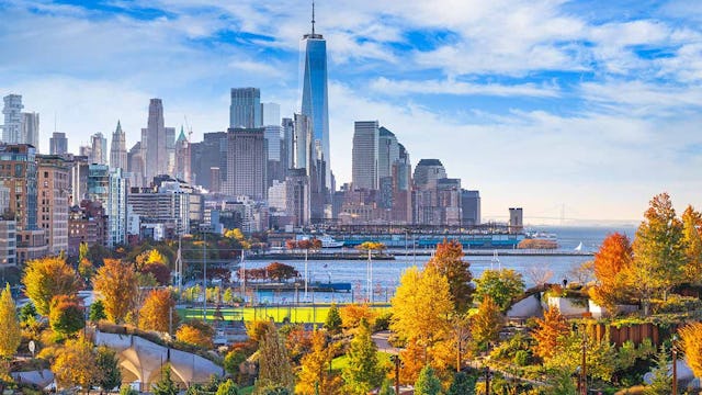 New York Skyline