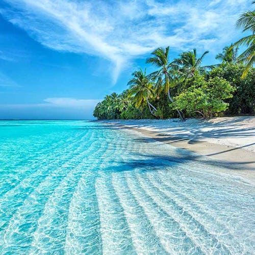 Caribbean Tropical Beach