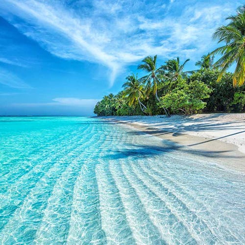 Caribbean Tropical Beach