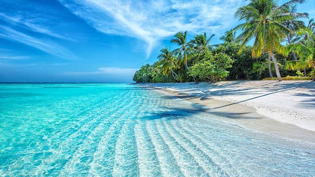 Caribbean Tropical Beach