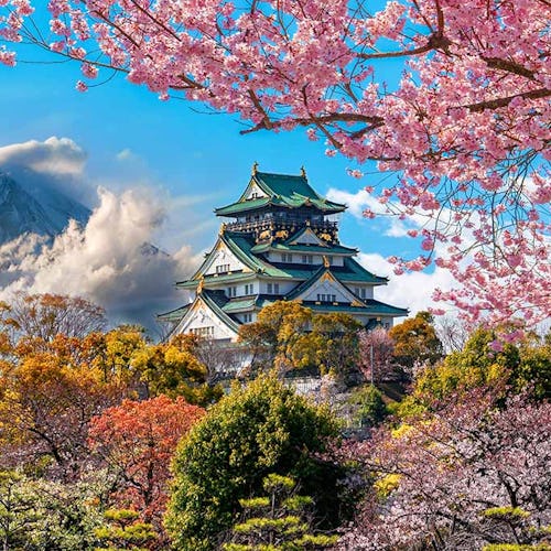 Osaka Castle and full cherry blossom, with Fuji mountain background, Japan
