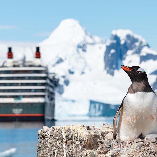 Penguin in Antarctica with cruise ship behind