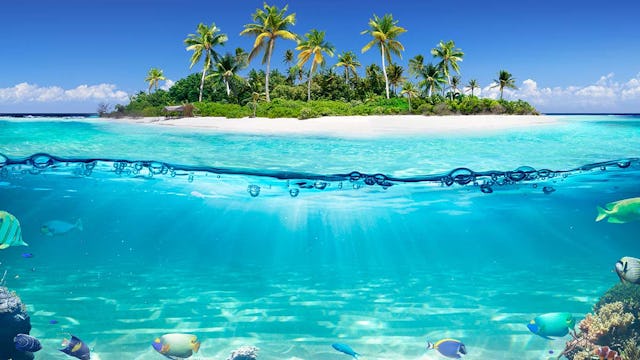 Tropical Island And Coral Reef - Split View With Waterline
