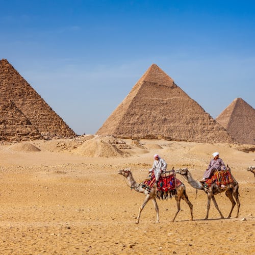 Bedouins riding on camels, pyramids on the background, Egypt