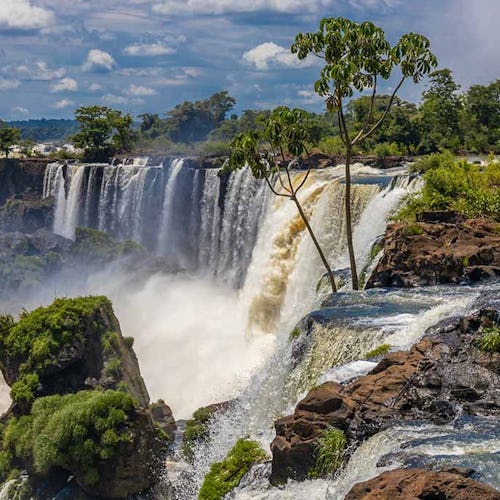 Iguazu falls, Cataratas del Iguazu waterfall in Brazil and Argentina. Huge powerful water stream in the tropical jungle forest of South America on river Iguasu