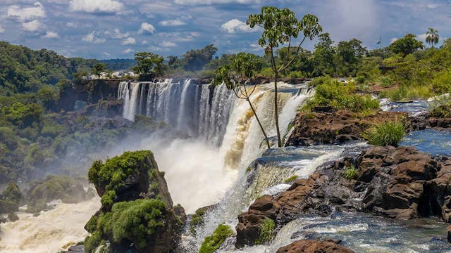 Iguazu falls, Cataratas del Iguazu waterfall in Brazil and Argentina. Huge powerful water stream in the tropical jungle forest of South America on river Iguasu