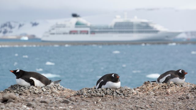 Seabourn Antartica Cruises