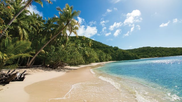 Caribbean