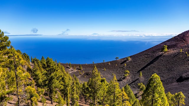 Canary Islands