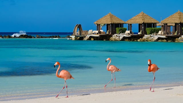 Aruba