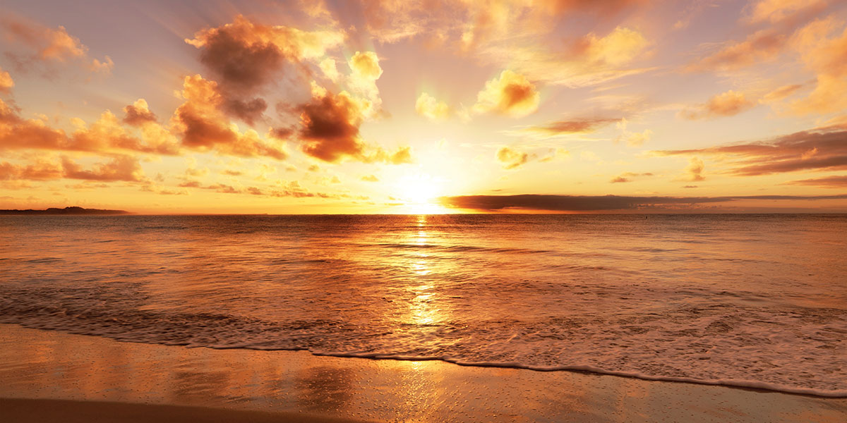 NEW 2028/29 SAILINGS