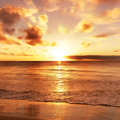 NEW 2028/29 SAILINGS