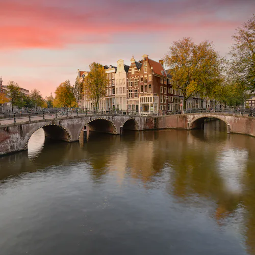 Authentic Dutch Cheese