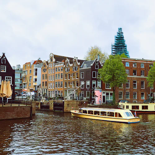 History and Education