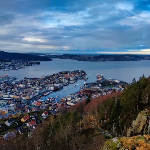 Cycle Through the Green City