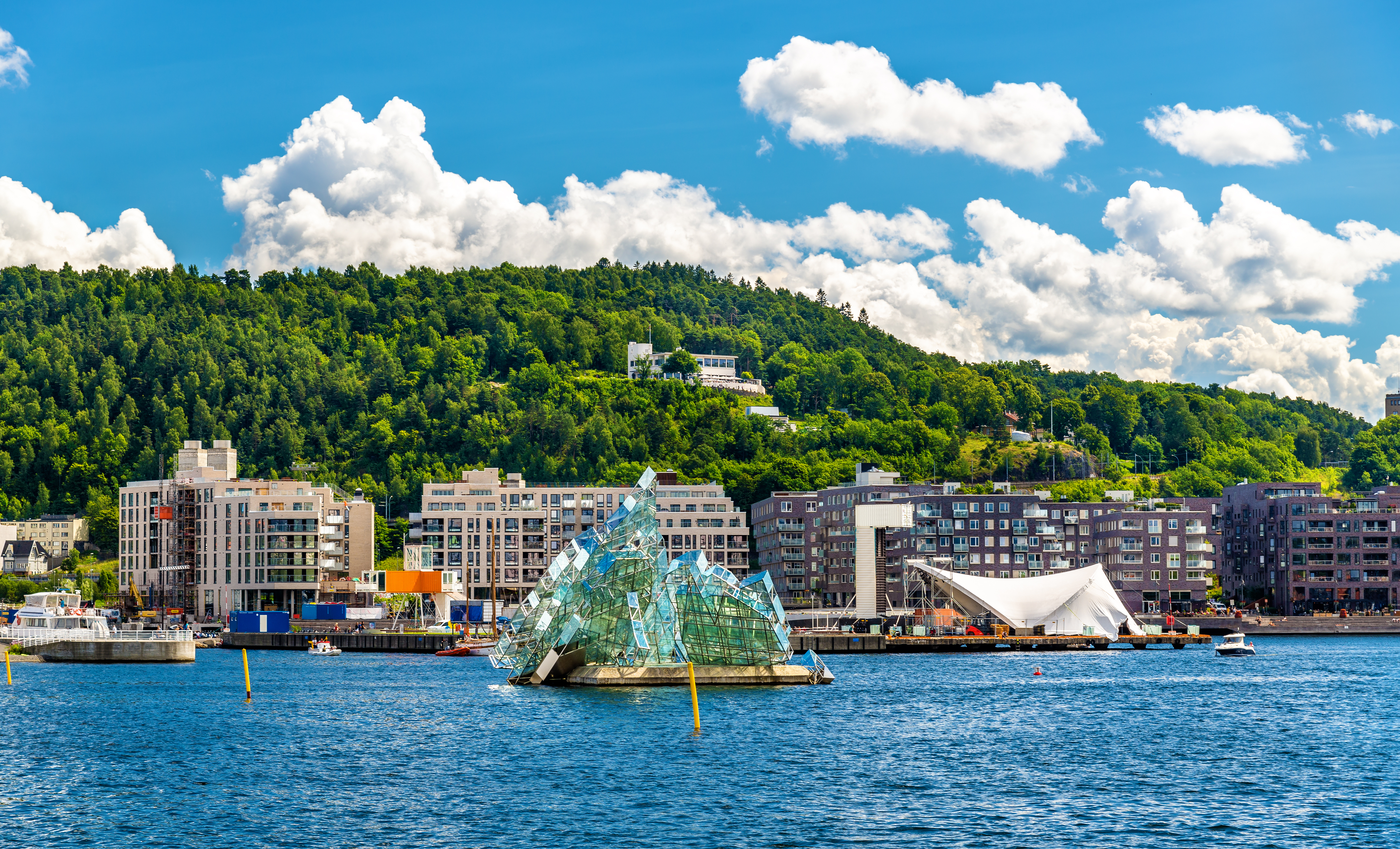 A City Immersed in Nature