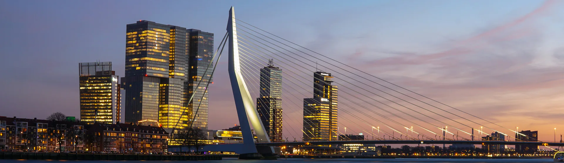 rotterdam skyline