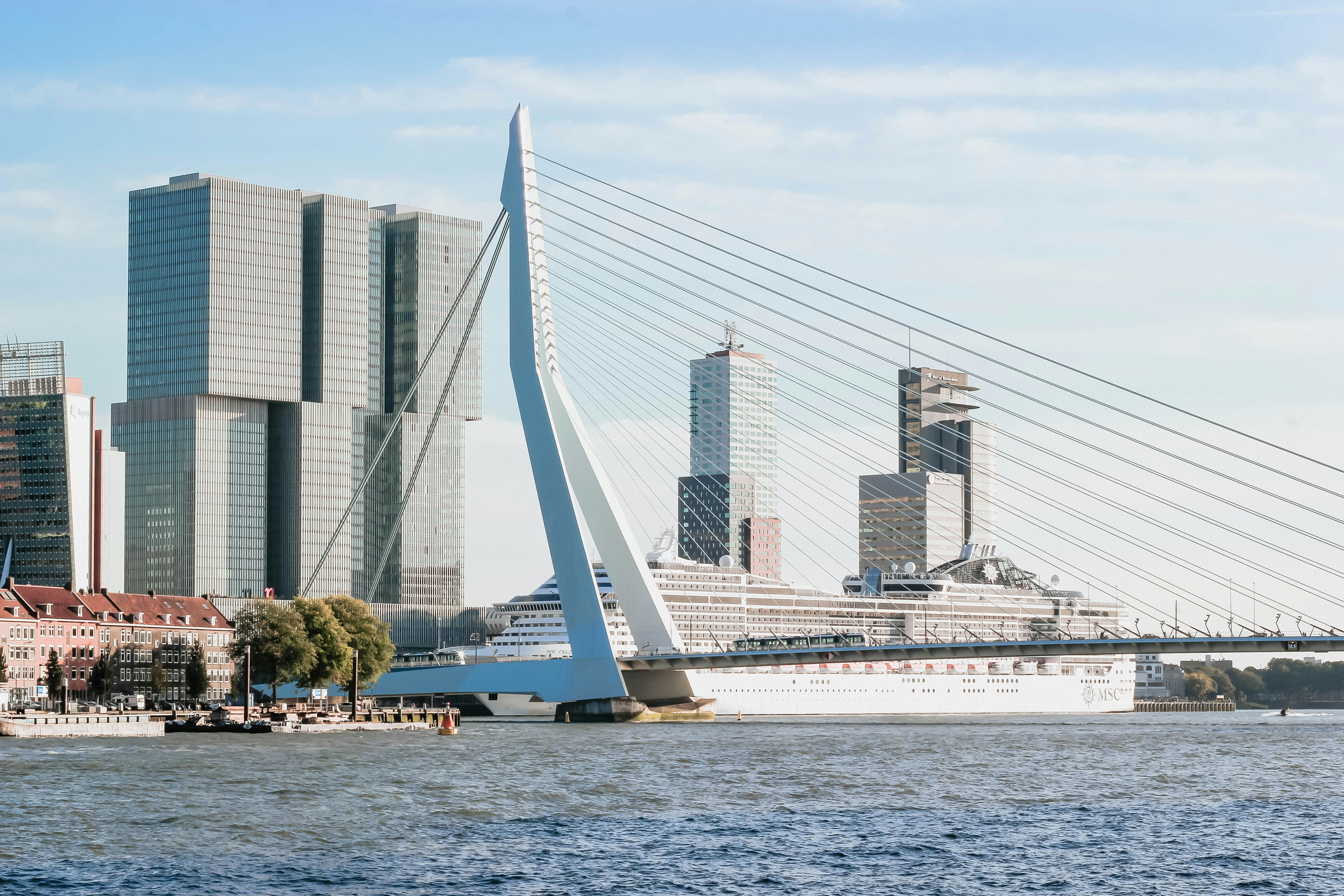 Rotterdam Bridge