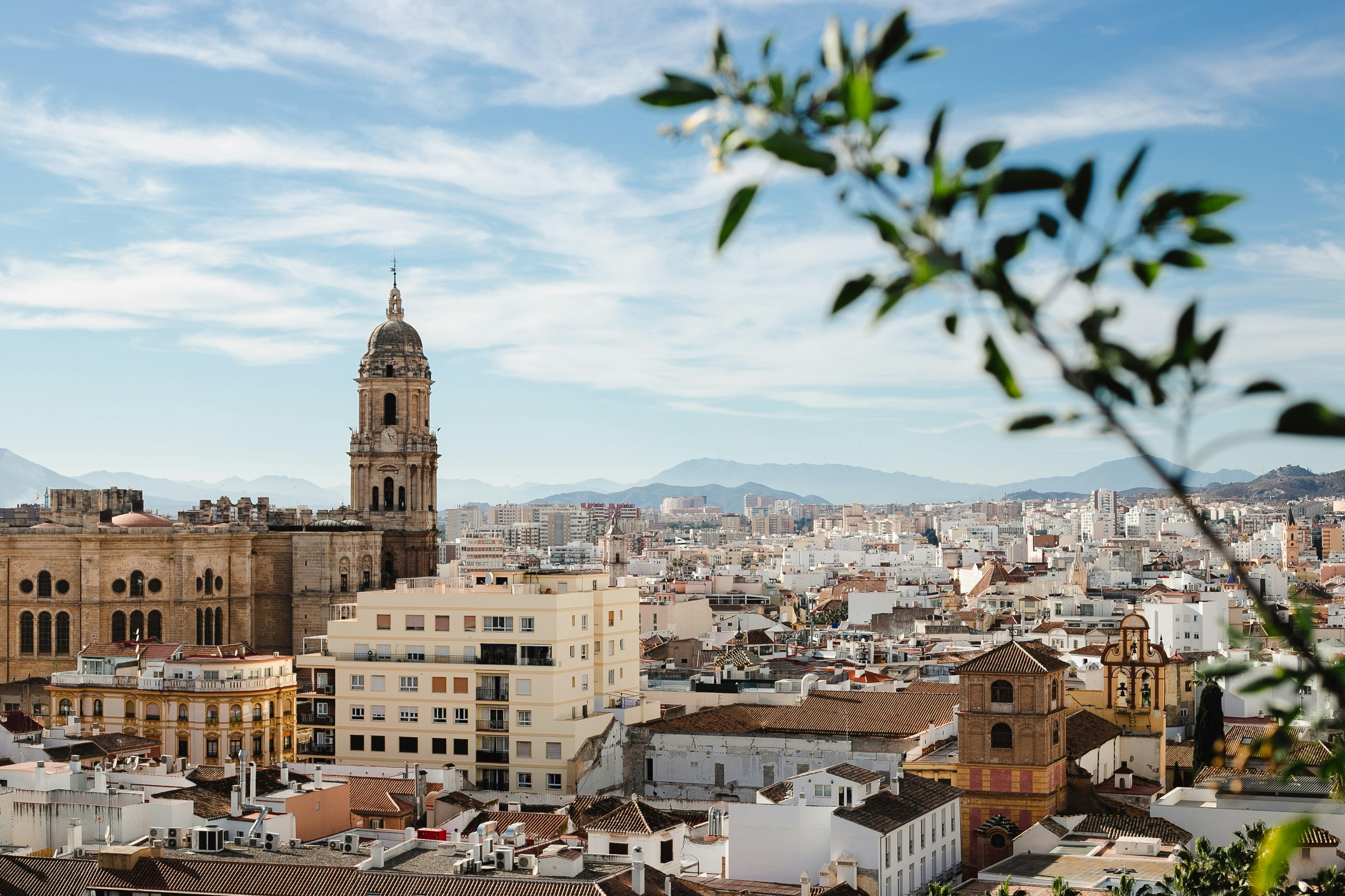 Malaga Cityscape
