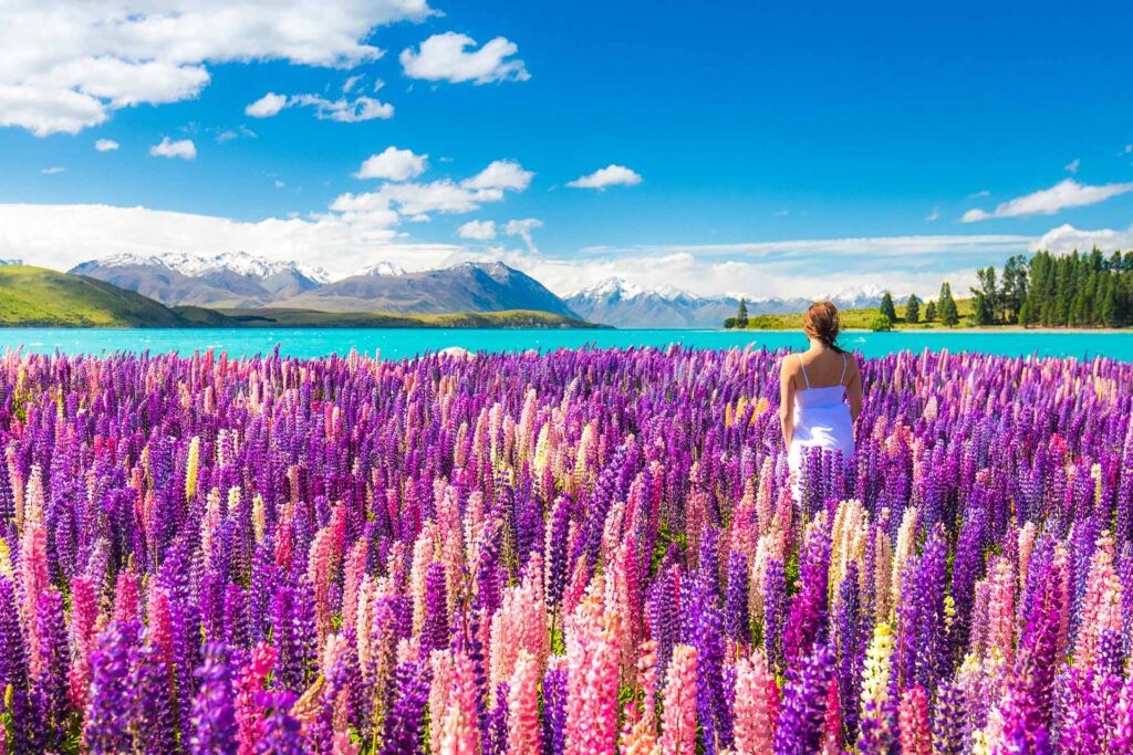 The Cruise Calendar: Where to Cruise in Spring