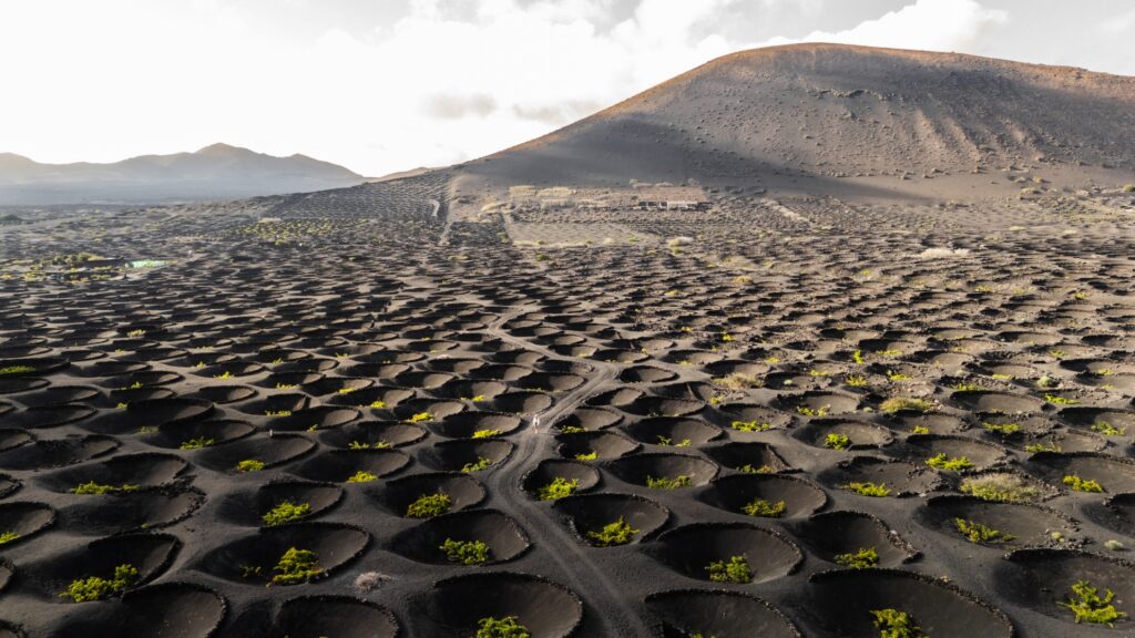 Lava Fields in Lanzarote